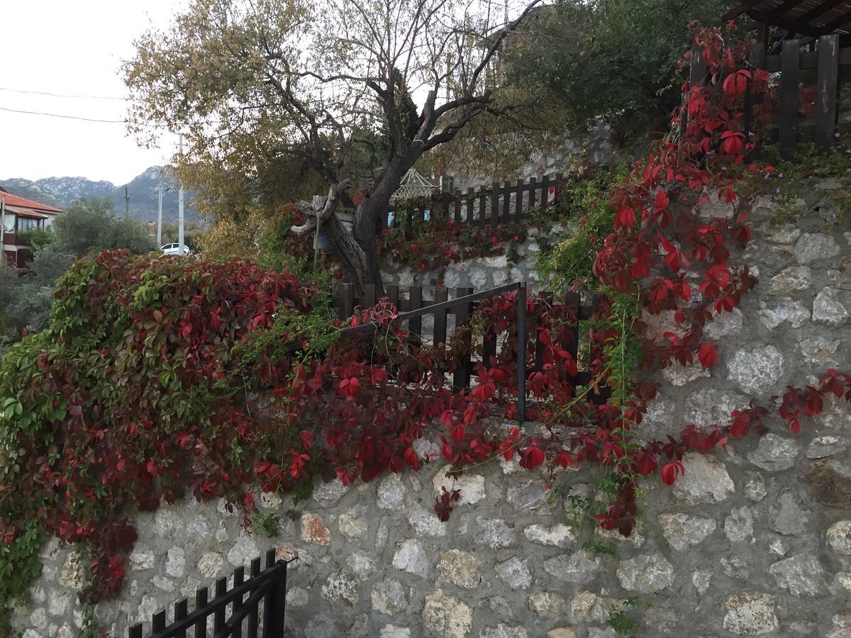 Selimiye Houses 外观 照片